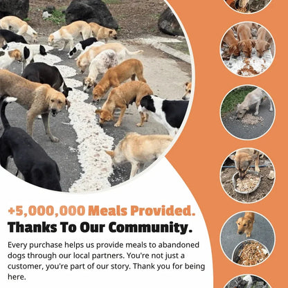 Blush (Set of 3 Tile Bracelets)