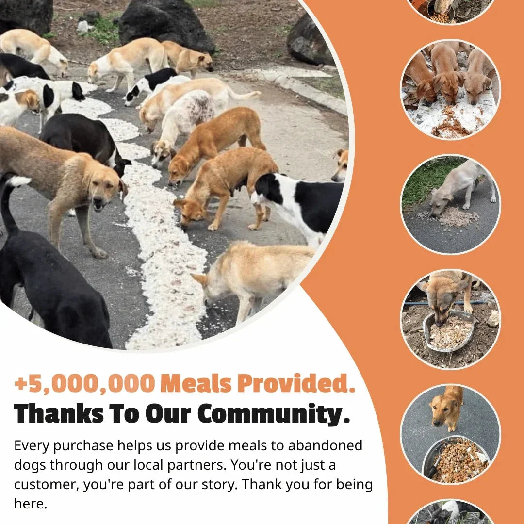 Bracelet Set (Lagoon + Wavy + Ocean)