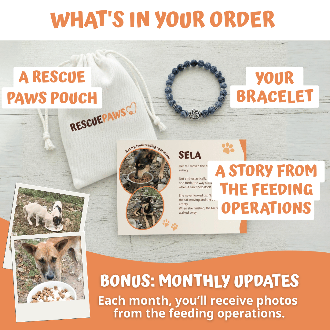 America Trio Bracelet Set (Limited Edition)